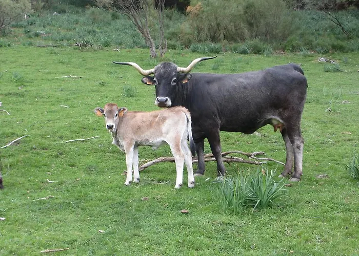 Puente Deva Espinama